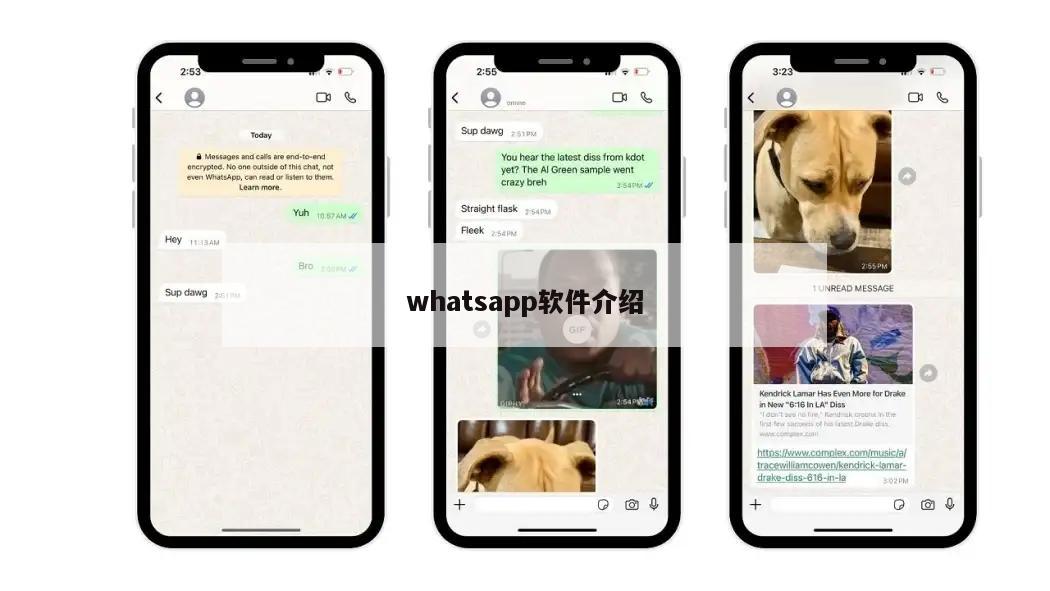 whatsapp软件介绍